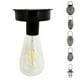 thumbnail image 3 of Garden Lighting Kit with 2 Pack of Solar Bulbs and Replacement Solar Module, 3 of 4