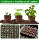 thumbnail image 3 of 2 Piezas Hommesta Hom Holder Soil Blocker Jardín, 3 of 9