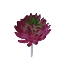 Mini Artificial Succulents, 1 Pc Faux Succulents, Realistic Fake Succulents, Artificial Hanging Ornaments Fleshed Plant Textured for Home Garden Wedding Party Spring Decoration, Red