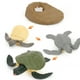 thumbnail image 4 of Simution Animal Figures Set Proceso Rana / / Tortuga Sunnimix Juego de crecimiento de insectos para niños, 4 of 8
