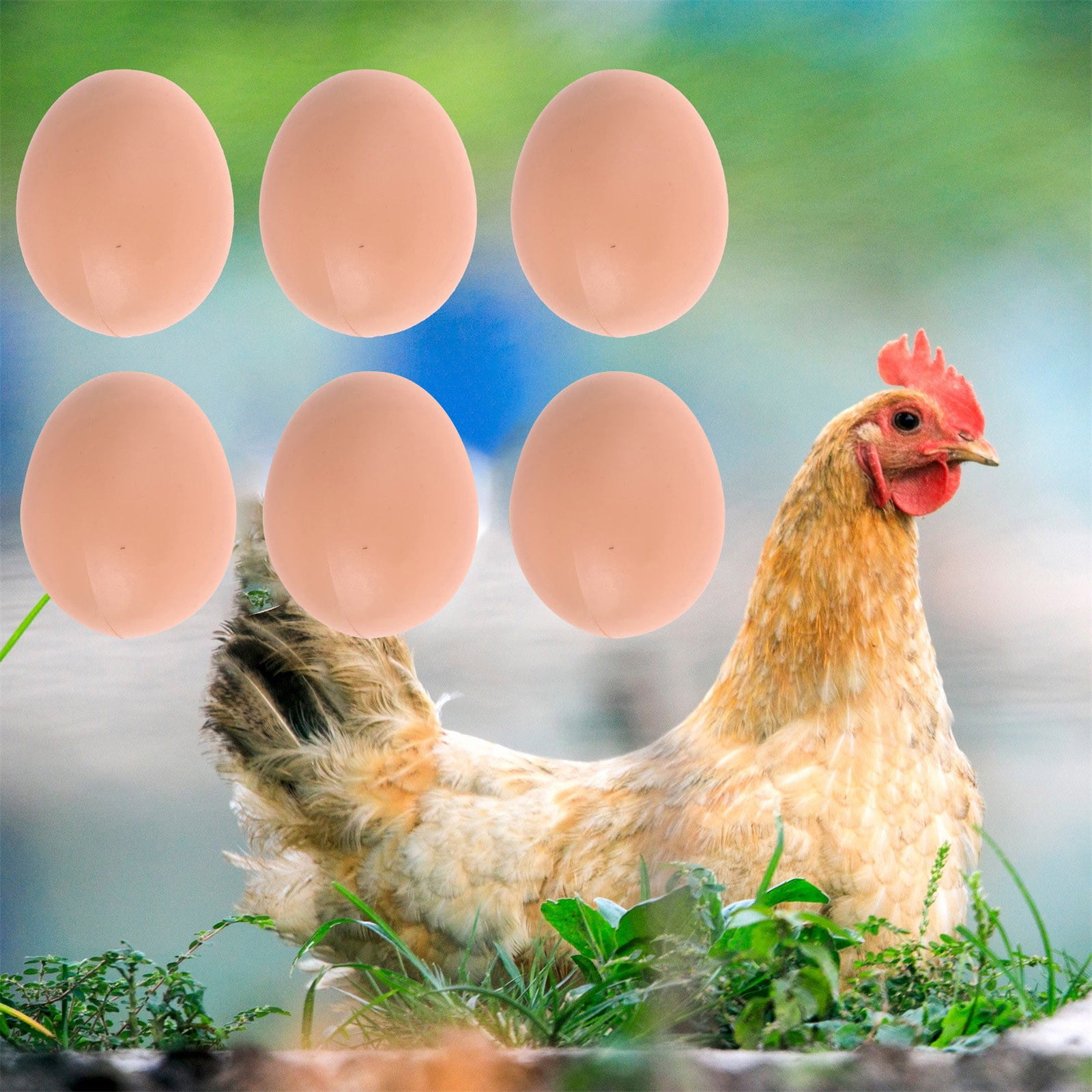 Cadorn 6PCS Plastic Eggs for Poultry Laying Assistance – Hen Nest Training Tools