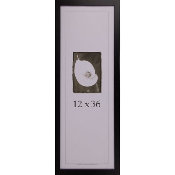 frame usa affordable black 12x36