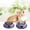 Purple, variant on Cat Bowls for Food and Water, 2PCS Non-Slip Stainless Steel Small Cat Food Bowls 8 Oz Pet Bowl with Removable Rubber Base Cat Dog Bowl,Stackable Cat Puppy Dishes Cat Bowls with Cute Cat Painted