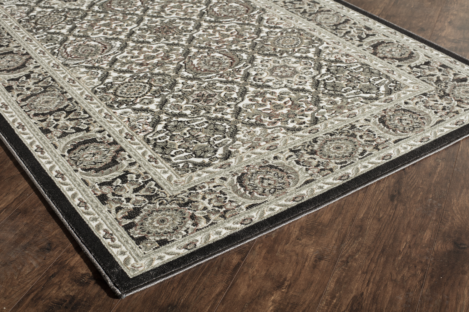 Rugs America Riviera Collection Black RV700G Transitional Oriental Area