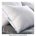 thumbnail image 4 of Almohada Sognare Nuo 2 Piezas, 4 of 4