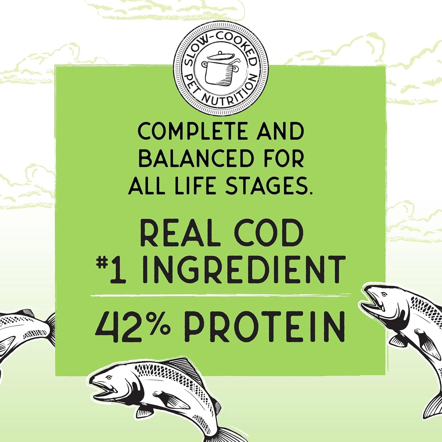 Blackwood Bounty Grain-Free Whitefish & Lentil Recipe All Life Stages Dry Cat Food 10 lb. Bag