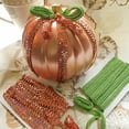 thumbnail image 3 of Expo Int'l 20 yards of 2 Row 7/8" Starlight Hologram Stretch Sequin Trim, 3 of 4