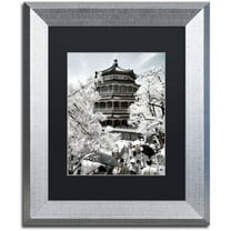 Trademark Fine Art "White Temple" Canvas Art by Philippe Hugonnard, Black Matte, Silver Frame