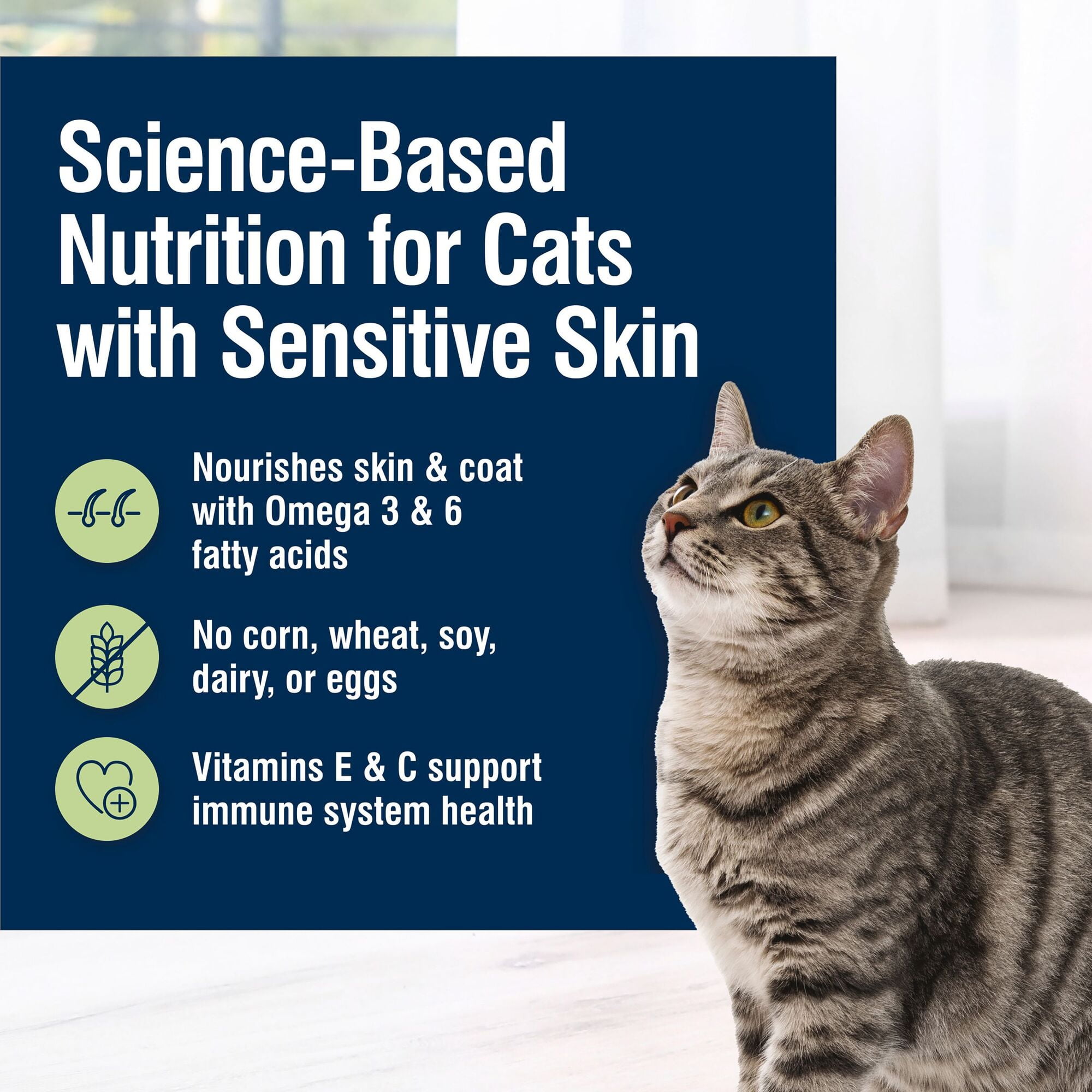 (6 pack) Blue Buffalo True Solutions Perfect Skin & Coat Natural Adult Wet Cat Food, Whitefish 3-oz Can