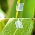 thumbnail image 3 of 20Pcs Agriculture Grafting Clips Flower Plant Vine Branches Clip, 3 of 9