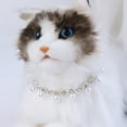 thumbnail image 5 of Adjustable Pet Necklace - Fade-Resistant Resin Cat Princess Necklace - Photography Prop and Birthday Gift, 5 of 8