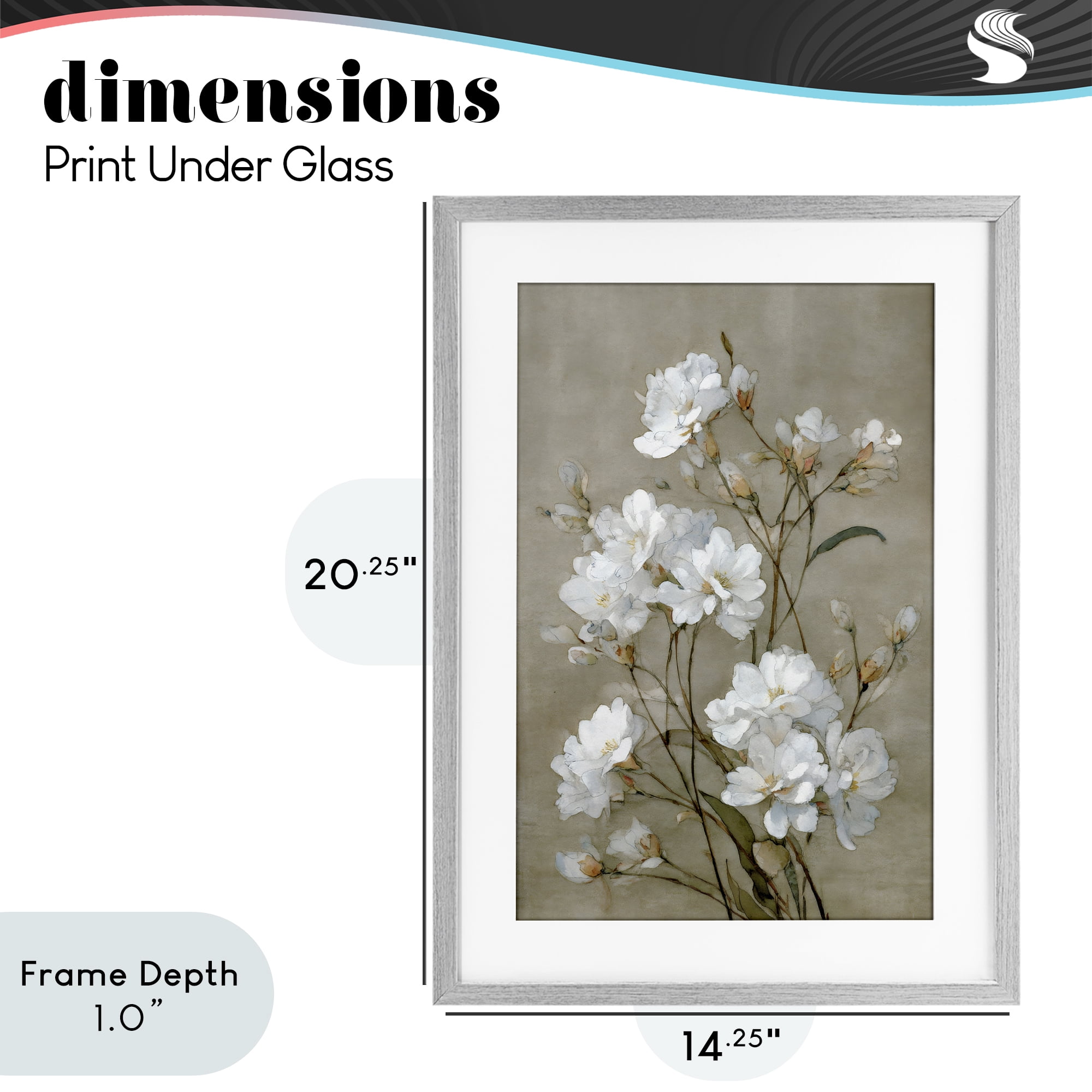 Stupell Industries Aged White Botanical Study Gray Framed Print Under Glass, design by Petal Prints Design