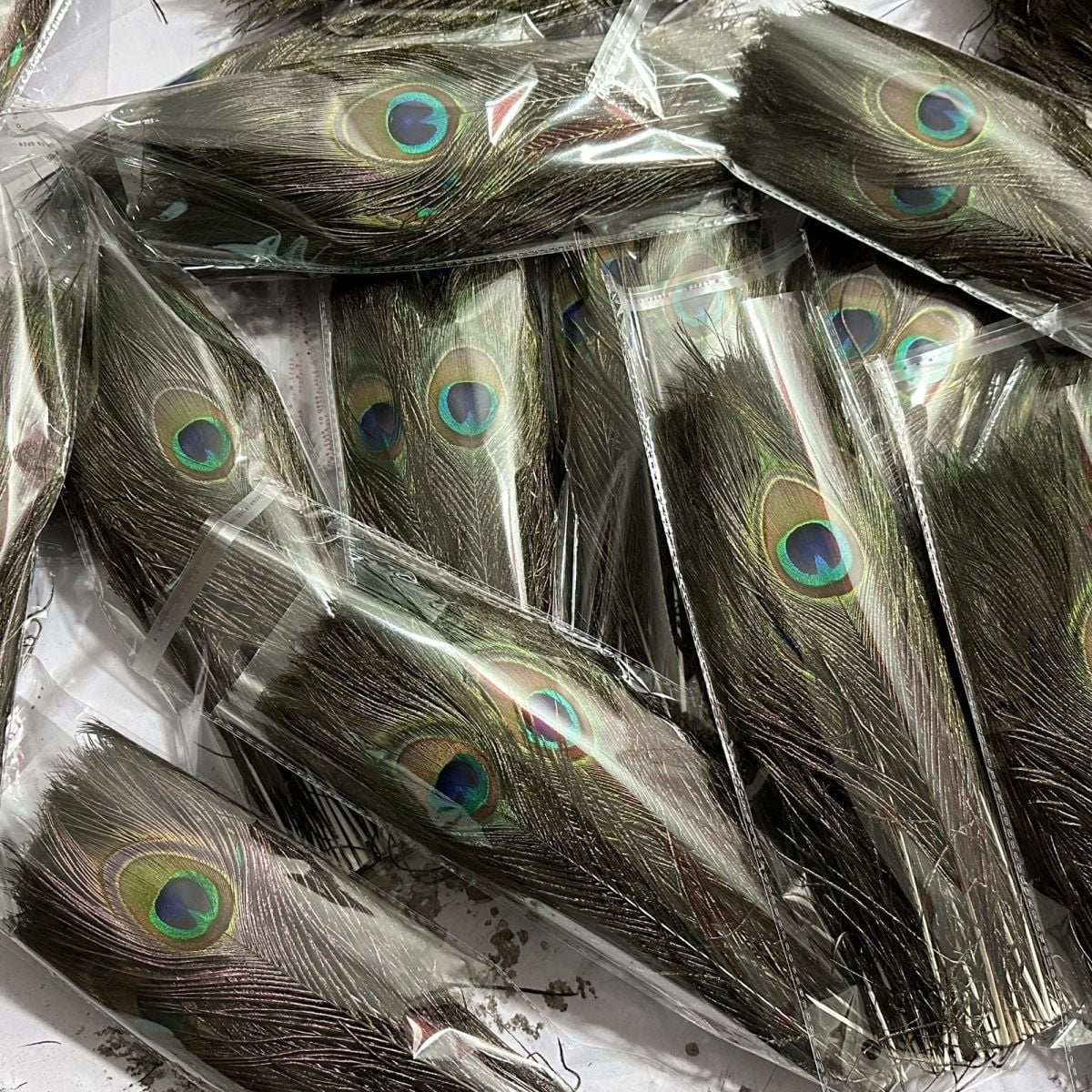 Natural Peacock Feathers Bulk Pack 50 Pieces, 10–12 Inch (25–30 cm), for DIY Crafts, Home, Wedding and Event Decoration