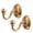 Gold 2pc 6cm, variant on WUXIAB Curtain Tieback Wall Hook,Durable Drape Holder,Home Decorative Hanger,Multi-Purpose Organizer Hook,Window Curtain Holdback,Heavy-Duty Wall Mount,Household Clothing Storage Hook,Gold