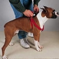 thumbnail image 2 of Casual Canine ZA817 09 83 9-15 in. Nylon 2 Step Harness, Red, 2 of 3