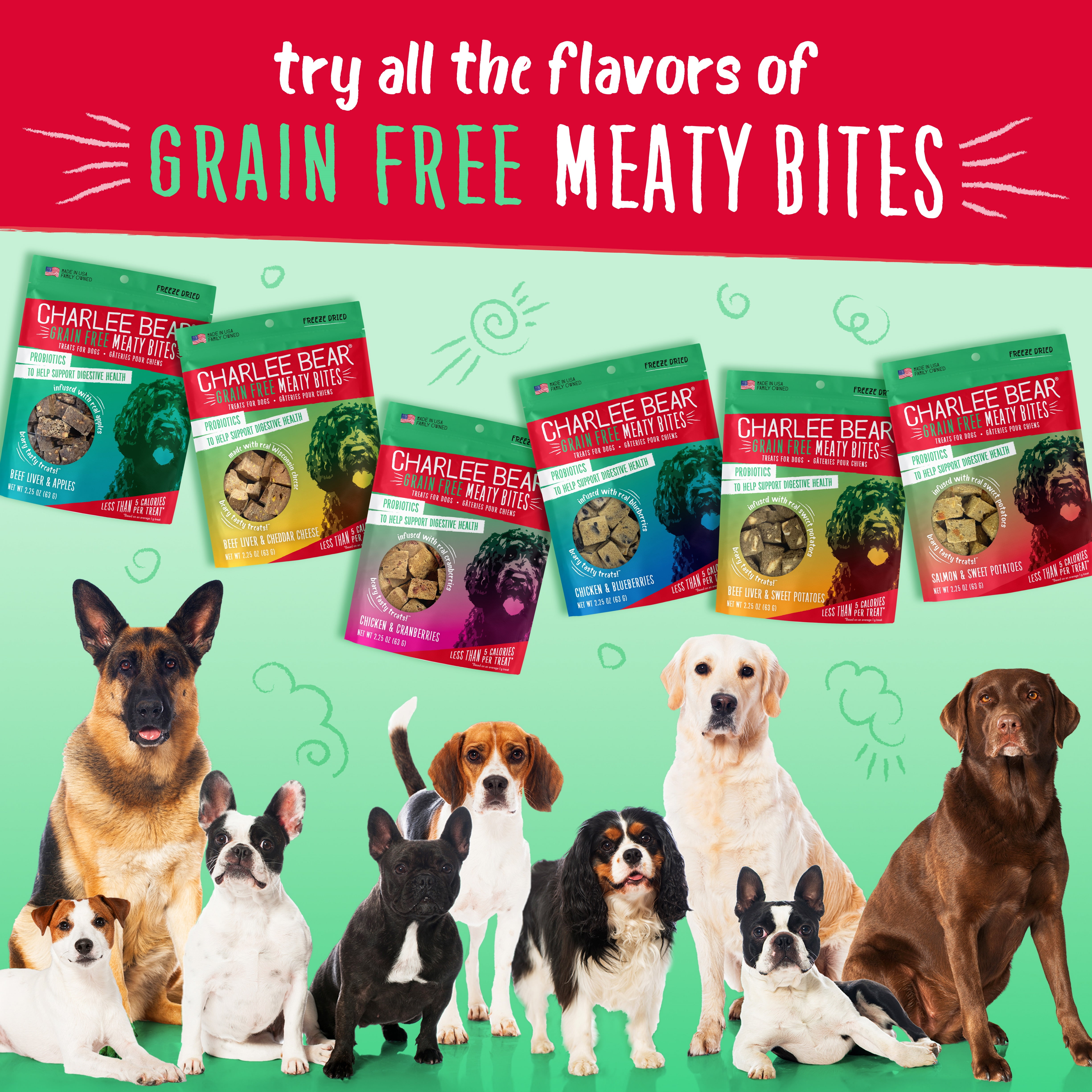 Charlee Bear Grain Free Meaty Bites Freeze Dried Dog Treats with Probiotics, Puppy Training Snacks, Soft Dog Bites Chicken with Blueberries, 2.5 oz Bags (2), Made USA