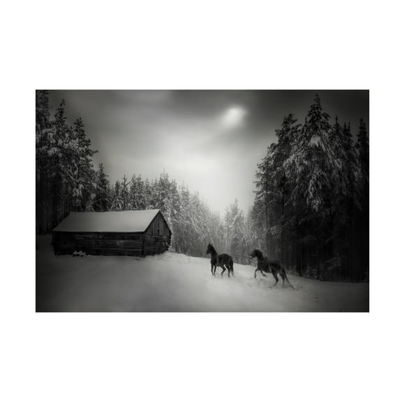 Canvas Wall Art - Todor Tanev 'Paddock Horses' Wall Art for Living Room, Bedroom, or Office D?cor by Trademark Fine Art - 19 x 12 Inches