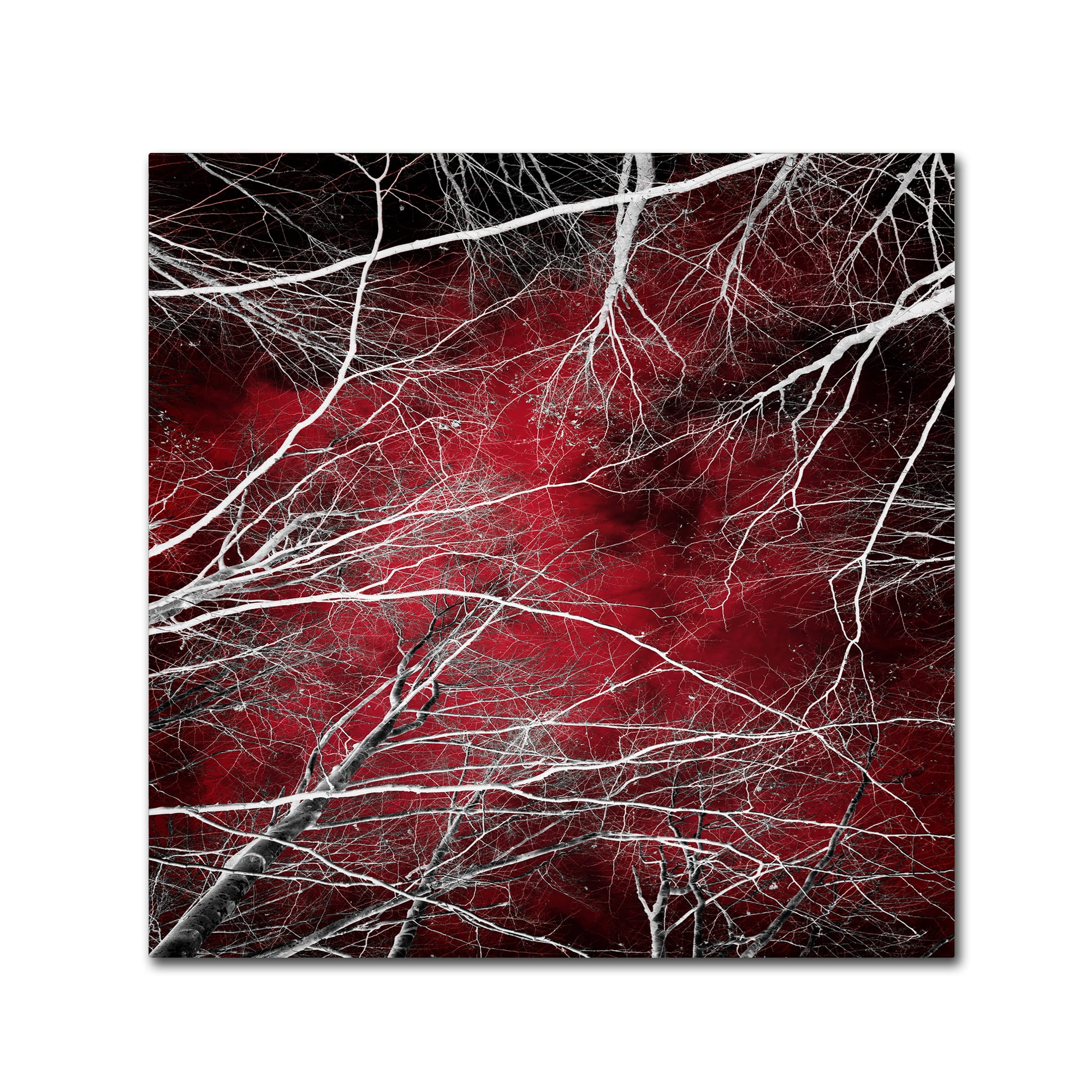 Trademark Fine Art "Fear" Canvas Art by Philippe Sainte-Laudy