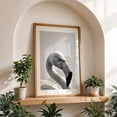 thumbnail image 5 of flamingo bird - Photography Flamingo Black and White Wildlife Bird Minimalist Nature Animal Unframed Wall Art Print 20 x 30 inches, 5 of 60