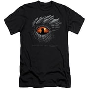 House of The Dragon, Eye Of The Dragon Unisex Adult Canvas Brand T Shirt