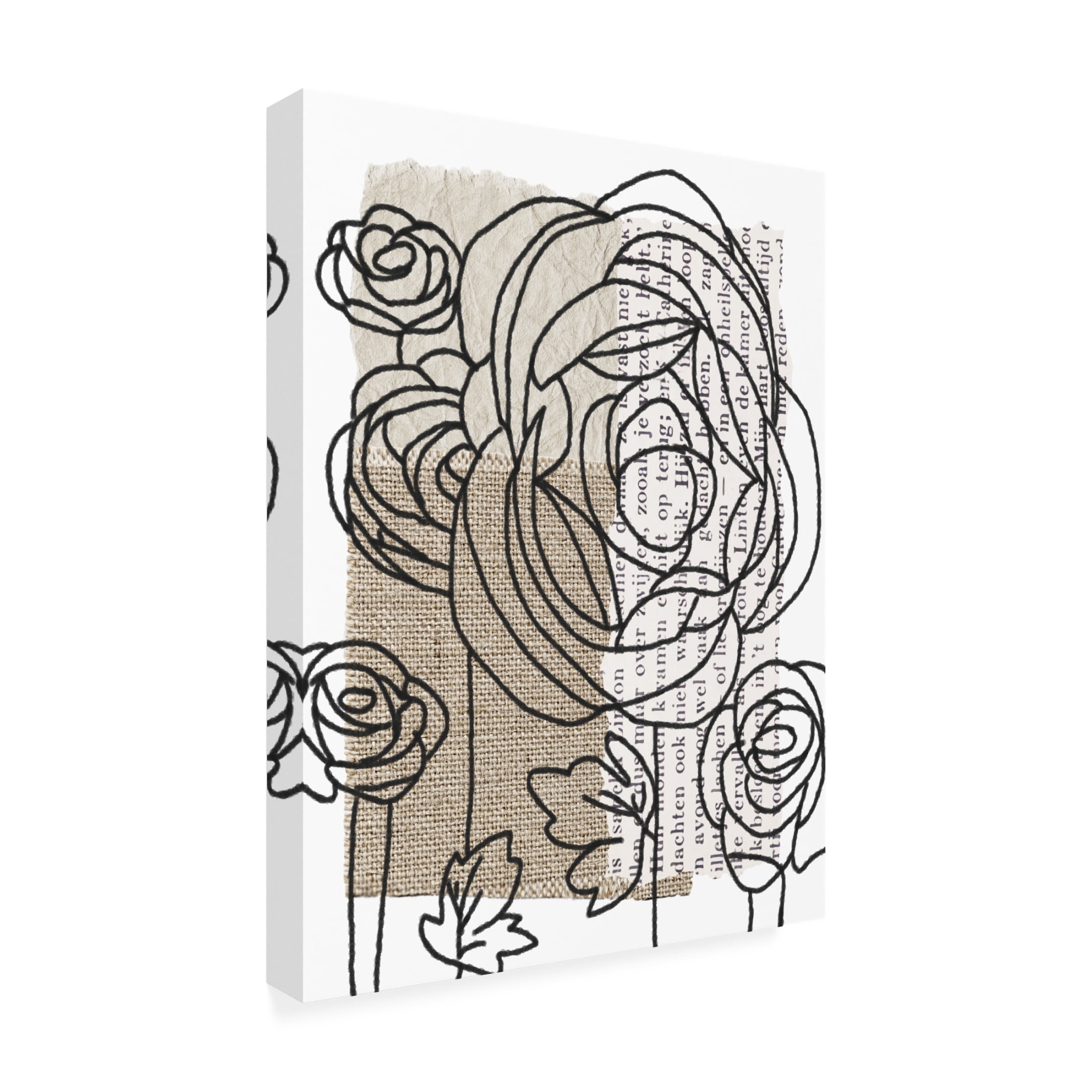 Trademark Fine Art Alonzo Saunders Drawn Flowers II Canvas Wall Art