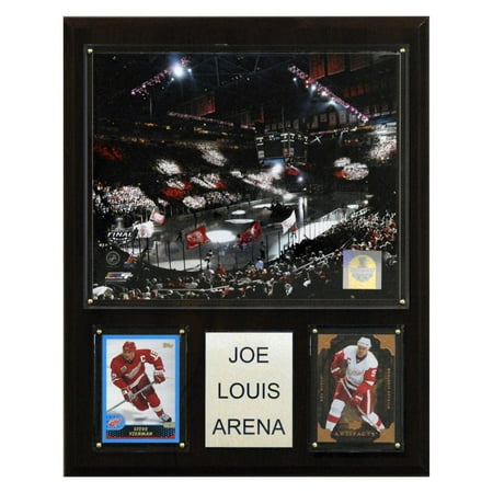 C&I Collectables NHL 12x15 Joe Louis Arena Arena