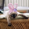 thumbnail image 4 of Pet Cat Decorative Hat Cat Personality Headgear Rabbit Headgear Internet Small Ear Hat, 4 of 4