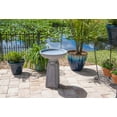 Pedestal Outdoor Bird Bath with Gray Finish