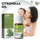 thumbnail image 3 of Aceite de citronela repelente de mosquitos 10 ml, 3 of 5