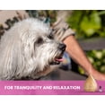 thumbnail image 6 of Gou Gou Pets Holistic Natural Derived Calming Pet Essential Oil Blend & Diffuser Set for Anxiety: Relax Your Pet with Natural and Clean Ingredients While Providing Stress Relief - Made in USA – 15mL, 6 of 10
