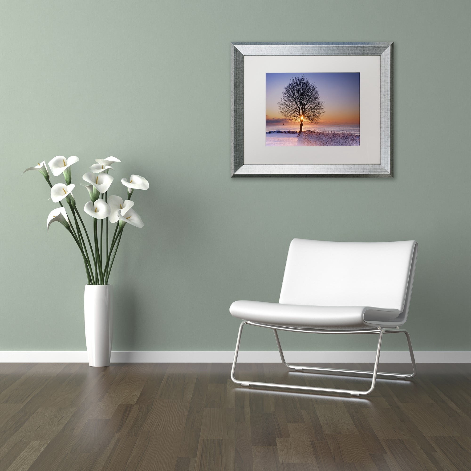 Trademark Fine Art "Tree Burst" Canvas Art by Michael Blanchette Photography White Matte, Silver Frame