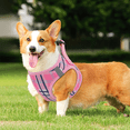 thumbnail image 4 of MoNiBloom No Pull Dog Harness with Leash, No Choke Reflective Pet Vest Adjustable Breathable Mesh Harnesses Dogs Walking, Pink XS, 4 of 10