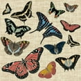 thumbnail image 2 of Vision Studio 20x20 White Modern Wood Framed Museum Art Print Titled - Butterflies and Linen I, 2 of 4
