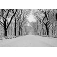thumbnail image 2 of Bill Carson Photography 24x17 White Modern Wood Framed Museum Art Print Titled - The Mall Washington DC, 2 of 4