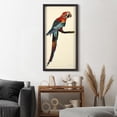 thumbnail image 5 of Empire Art Direct Tropical Parrot Dimensional Collage Framed Graphic Art Under Glass Wall Art, 17" x 33" x 1.4", Ready to Hang, 5 of 10