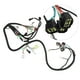 thumbnail image 3 of Arnés Eléctrico Principal, ABS Conexión Precisa ATV Arnés De Cables Principal Resistencia Al Desgaste Para YFM660R Raptor 660, 3 of 7