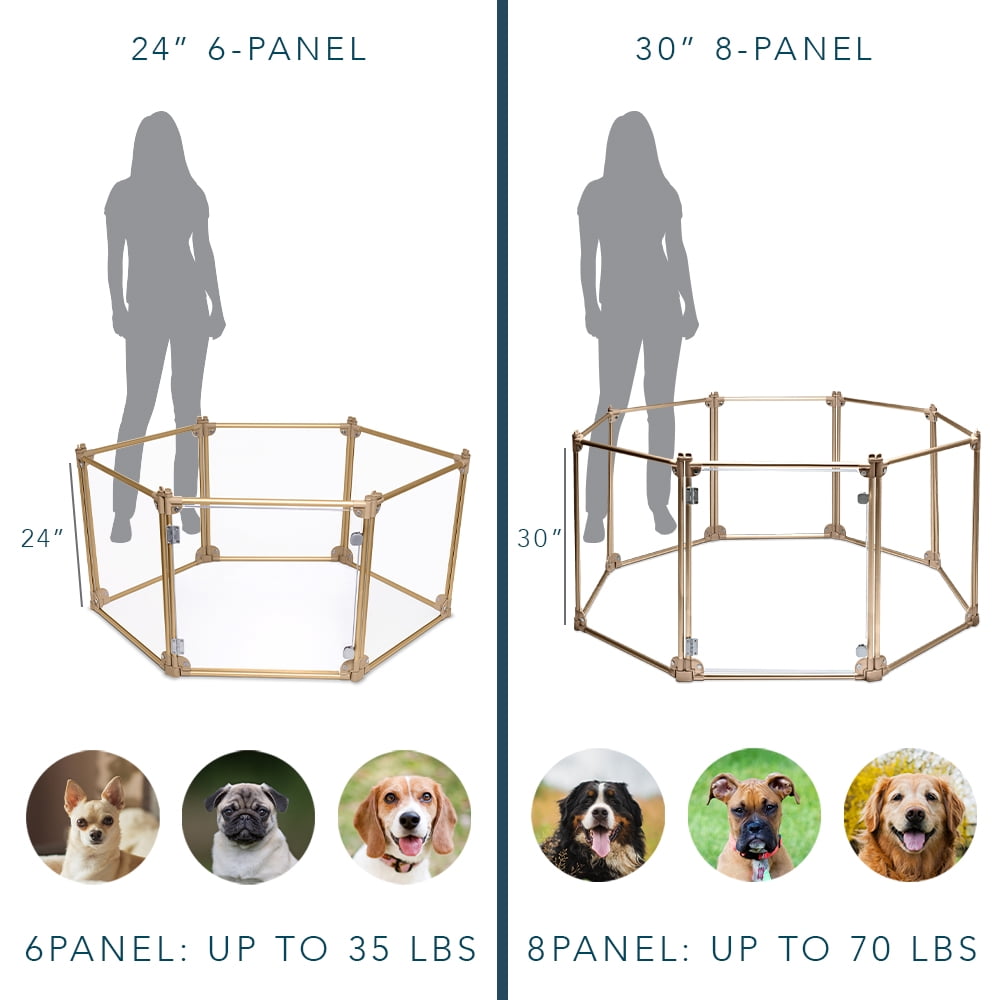 Front Row Foldable Dog Playpen Pen, Durable Indoor Outdoor Portable Crate Kennel Safe Accessories for Puppy, Cat, Bunny, Pet for Play Exercise Rest with Clear Transparent Panels and Gold Rods