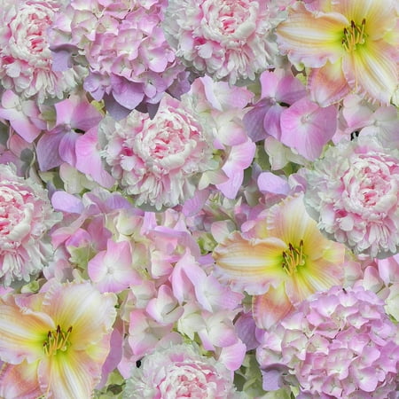 Iphone Wallpaper Collection: iphone flower background
