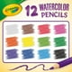 thumbnail image 3 of Lápices de acuarela Crayola Classpack, 240 unidades, para aula, 3 of 8