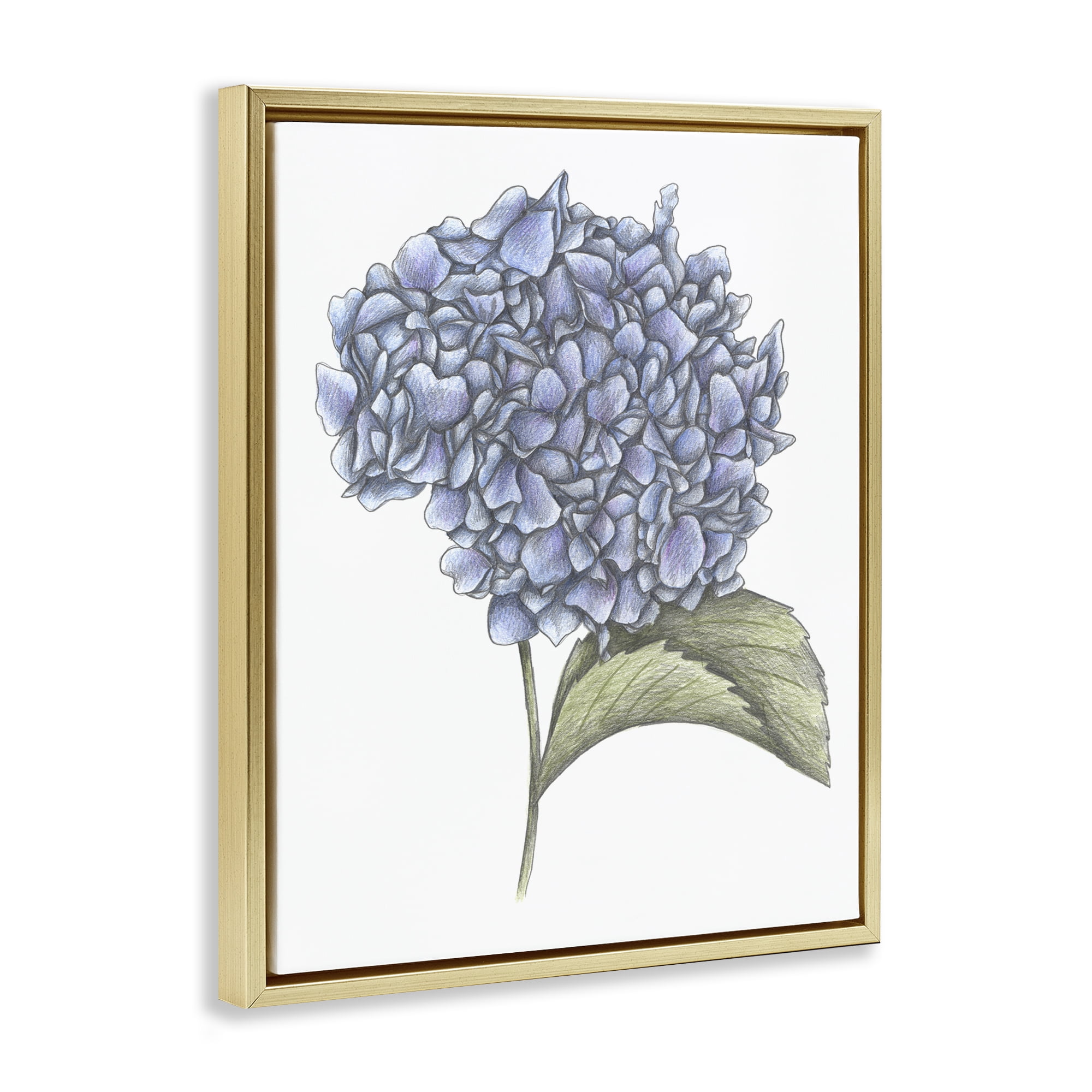 Hydrangea Sketch Blossom Gold Framed Floater Canvas Wall Art, design by Cecilia Battaini