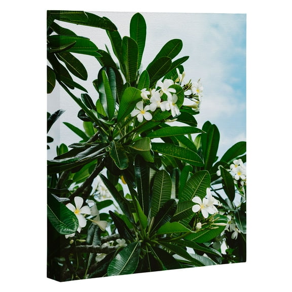 Society6 Bethany Young Photography Hawaiian Blooms 8" x 10" Black Framed Canvas