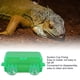 thumbnail image 3 of Reptile Gecko Feeder Dish Bowl Worm Anti Escape Bowl Ventosa Alimentador para Reptiles Jaula Accesorios para Dragón Barbudo Gecko Camaleón Serpiente Tortuga ANGGREK Otros, 3 of 8