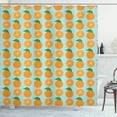 thumbnail image 1 of Ambesonne Orange Shower Curtain, Vitamin C Half Cut Fruits, 69"Wx75"L, Pale Blue and Orange, 1 of 3