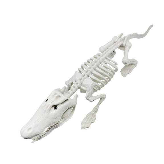 Kuntesetty Halloween Crocodiles Skeleton Decor Animal Skeleton for Garden Festival Yard