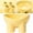 Yellow, variant on KQJQS Plastic Elevated Pet Food and Water Bowl with Anti-Tip Base - Cute Macaron Design for Dogs & Cats