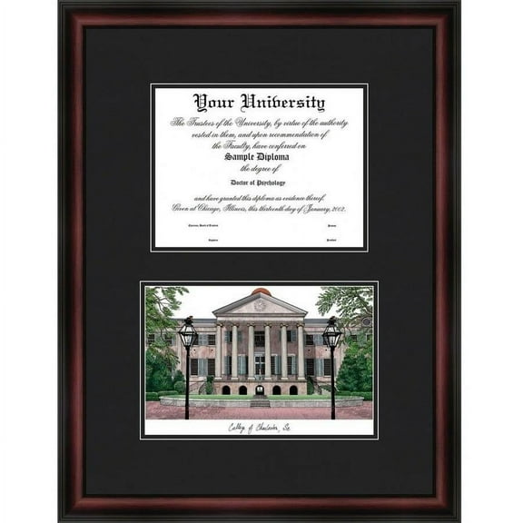 College of Charleston 20" x 16" Diplomate Diploma Frame