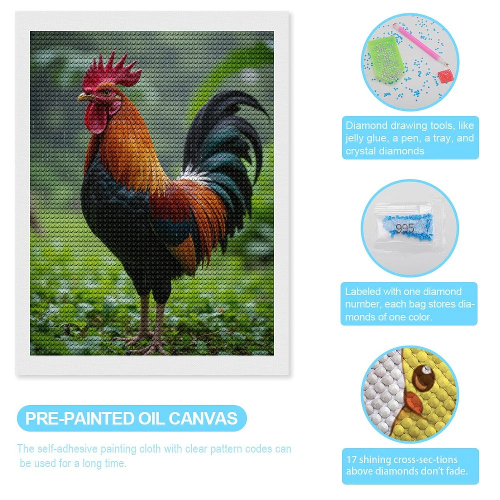 Diamond Art Kits for Adults, Rooster Rain Colorful Plumage 5D Diamond Painting Kits for Adults Beginners, DIY Full Drill Diamond Painting, Gem Art and Crafts 12x16