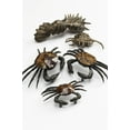 thumbnail image 3 of Schaub And Company 951S-PEN Neptune 1-5/8" Center To Center Coastal Ocean Nautical Crab, 3 of 3