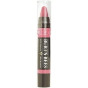 Burt's Bees Lip Crayon, Niagara Overlook [417], 0.11 oz (Pack of 2)