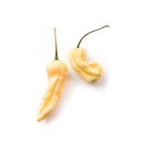 Jay's Peach Ghost Scorpion JPGS Heirloom Pepper Premium Seed Packe